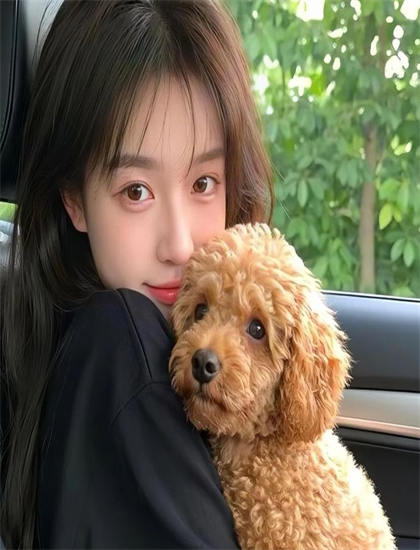 标杆式的忠勇小状元评价怎么样？专业评分与观众口碑对比